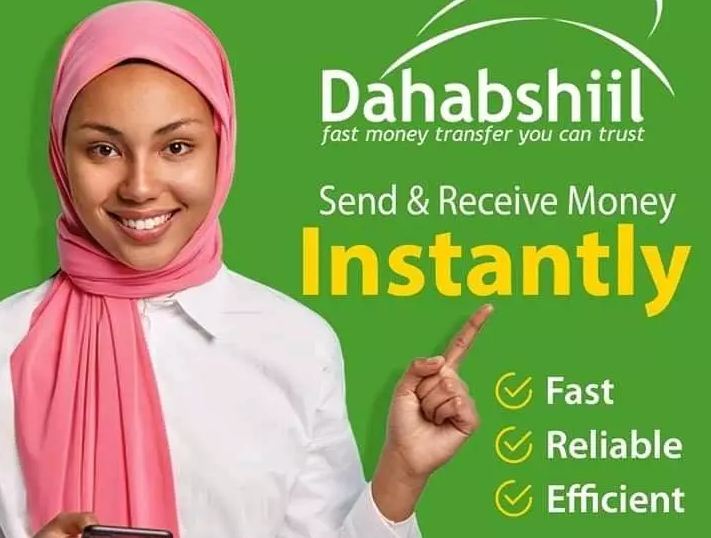 Dahabshiil review